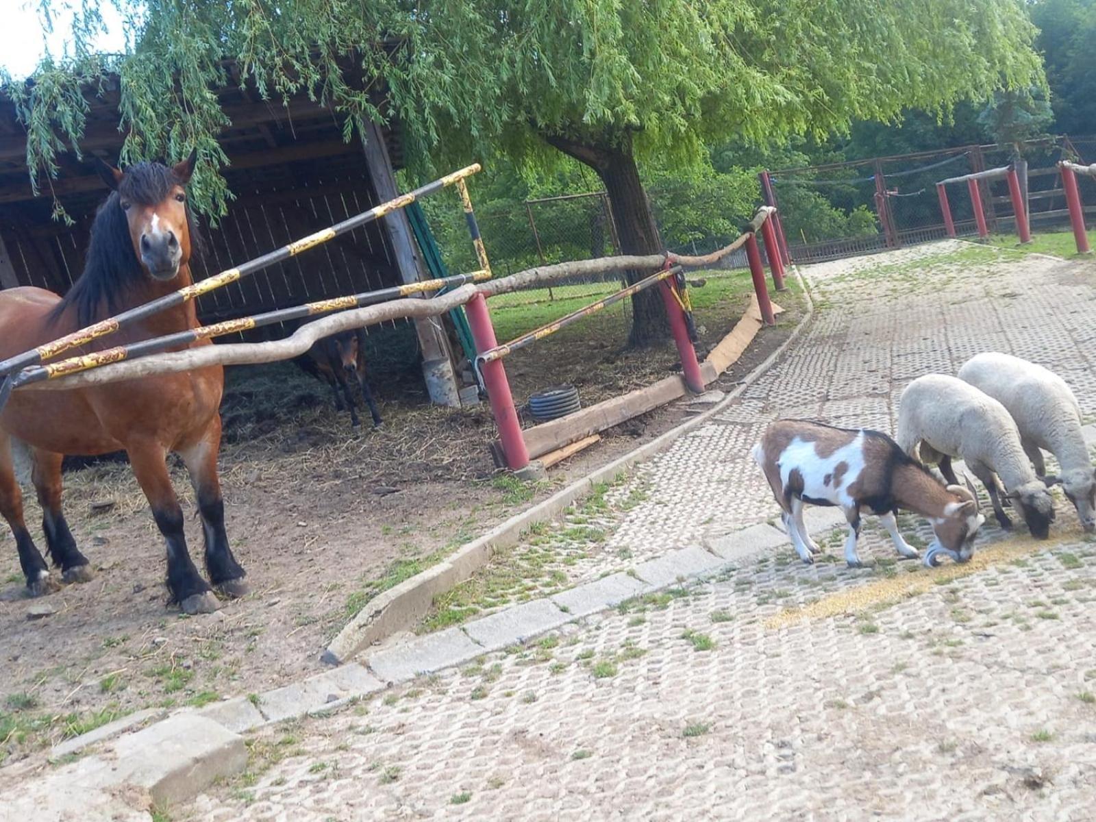 Koperkowe Rancho Beskid Wyspowy Domek Malopolskie Kamionna Kamionna  Екстер'єр фото